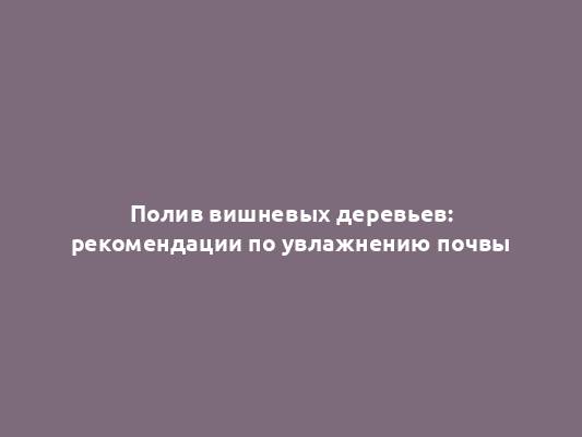 Полив вишневых деревьев: рекомендации по увлажнению почвы