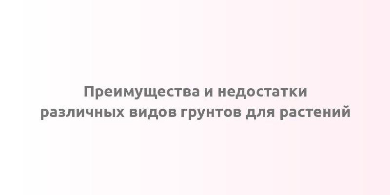 Преимущества и недостатки различных видов грунтов для растений