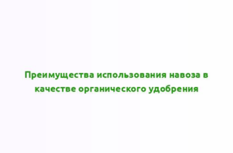 Преимущества использования навоза в качестве органического удобрения