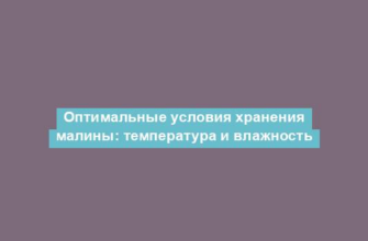 Оптимальные условия хранения малины: температура и влажность