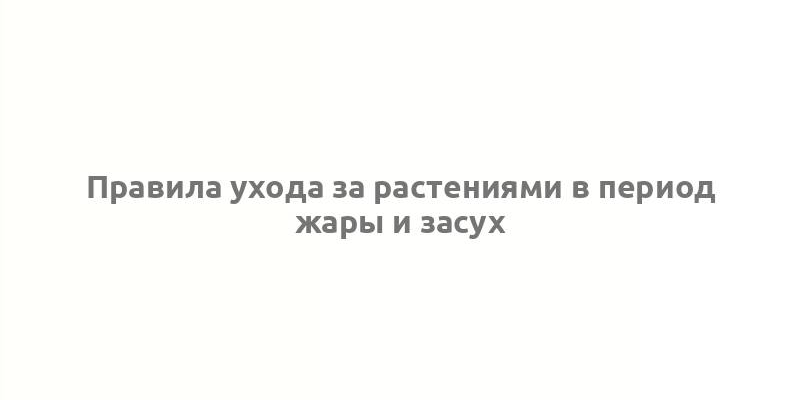 Правила ухода за растениями в период жары и засух