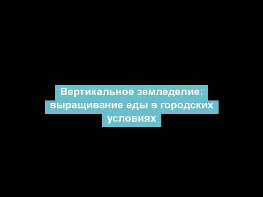 Вертикальное земледелие: выращивание еды в городских условиях