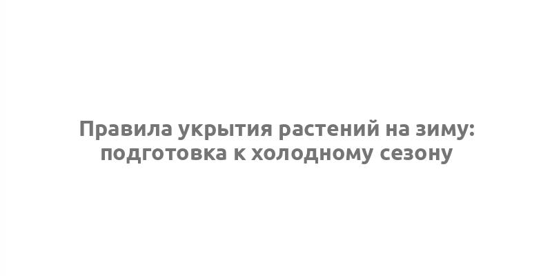 Правила укрытия растений на зиму: подготовка к холодному сезону