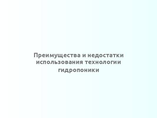 Преимущества и недостатки использования технологии гидропоники