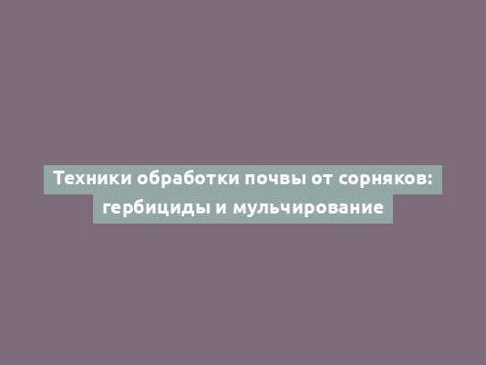 Техники обработки почвы от сорняков: гербициды и мульчирование