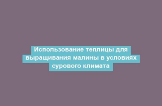 Использование теплицы для выращивания малины в условиях сурового климата